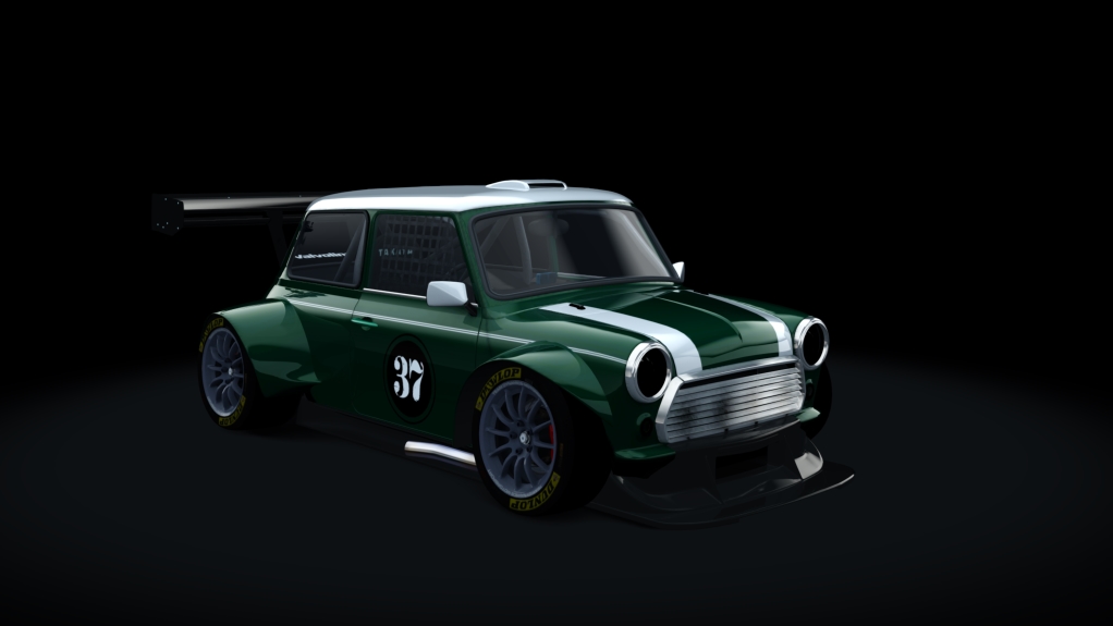 BRW Mini Judd V8, skin British_Racing_Green